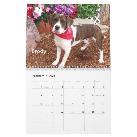Hunde des Tierschutzkalenders Oklahoma City Kalender (Feb 2026)