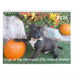 Hunde des Tierschutzkalenders Oklahoma City Kalender
