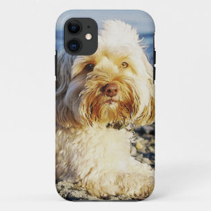 Hunde-Designs für Heimtiere Case-Mate iPhone Hülle