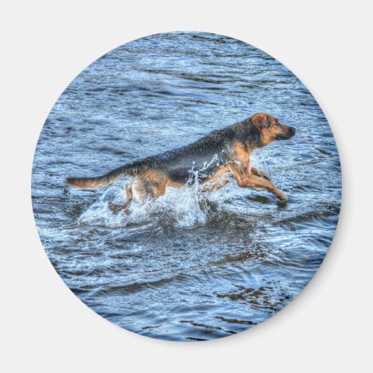 Hunde-Designs für Heimtiere Magnet (Vorne)