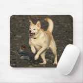 Hunde-Designs für Heimtiere Mousepad (Mit Mouse)