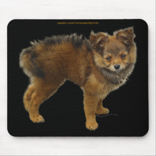 Hunde-Designs für Heimtiere Mousepad
