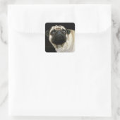 Hunde-Designs für Heimtiere Quadratischer Aufkleber (Tasche)