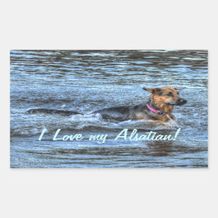 Hunde-Designs für Heimtiere Rechteckiger Aufkleber