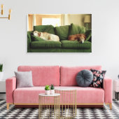 Hunde, die auf einem Sofa schlafen Leinwanddruck (Insitu (Wohnzimmer))