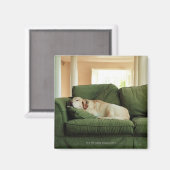 Hunde, die auf einem Sofa schlafen Magnet (Vorderseite/Rückseite)