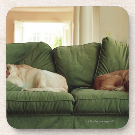 Hunde, die auf Sofa schlafen Getränkeuntersetzer (Vorderseite)