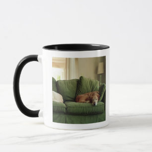 Hunde, die auf Sofa schlafen Tasse