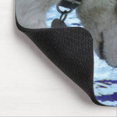 Hunde, die das Wasser am Pool berühren Mousepad (Ecke)
