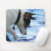 Hunde, die das Wasser am Pool berühren Mousepad (Mit Mouse)