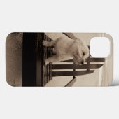 Hunde, die den Strand genießen Case-Mate iPhone Hülle (Rückseite (Horizontal))
