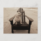 Hunde, die den Strand genießen Postkarte (Vorderseite)