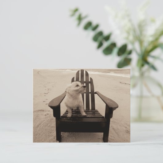 Hunde, die den Strand genießen Postkarte (Stehend Vorderseite)