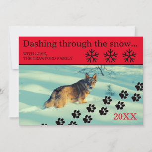 Hunde, die durch den Schnee stürzen - Weihnachtska Feiertagskarte