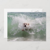 Hunde, die durch die Ozeanwelle laufen, Surfen, St Postkarte (Vorne/Hinten)