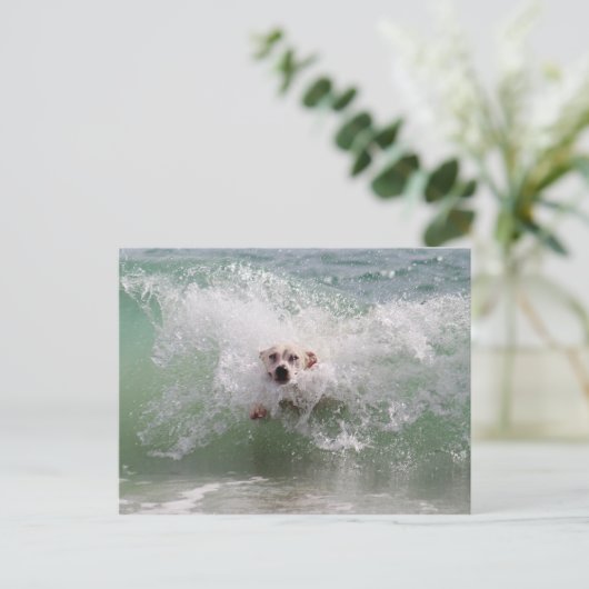 Hunde, die durch die Ozeanwelle laufen, Surfen, St Postkarte (Stehend Vorderseite)