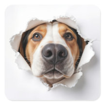 Hunde, die durch die Papierhalle des Drehpapiers p