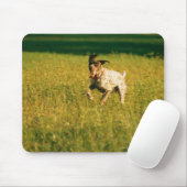 Hunde, die durch Gras laufen Mousepad (Mit Mouse)