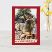 Hunde, die für die Weihnachtskarte Gewartet werden Karte (Gelbe Blume)