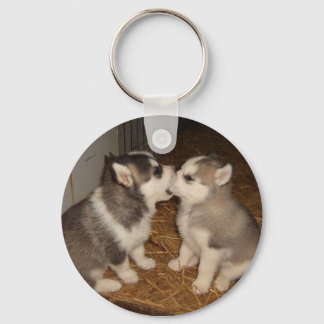 Hunde, die Hunde beißen Schlüsselanhänger
