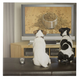 Hunde, die im Fernsehen Hundeteller mit Nahrung Fliese