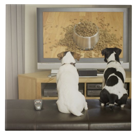 Hunde, die im Fernsehen Hundeteller mit Nahrung Fliese (Vorderseite)