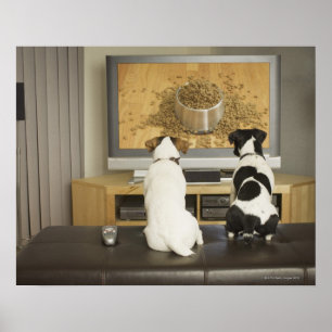 Hunde, die im Fernsehen Hundeteller mit Nahrung Poster