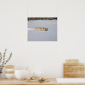 Hunde, die im Schnee aufbrechen Poster (Küche)