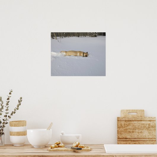 Hunde, die im Schnee aufbrechen Poster (Küche)