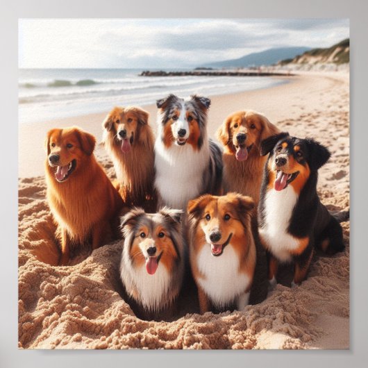 Hunde, die im Sommer am Strand spielen Poster (Vorne)