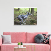 Hunde, die im Wald laufen Leinwanddruck (Insitu (Wohnzimmer))