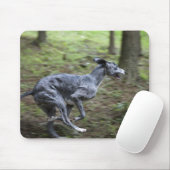 Hunde, die im Wald laufen Mousepad (Mit Mouse)