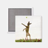 Hunde, die in der Luft Tennisball fangen Magnet (Vorderseite/Rückseite)