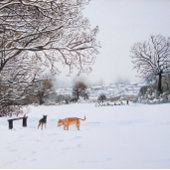Hunde, die in der Winterlandschaft der Schneeszene Puzzle
