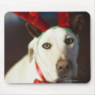 Hunde, die Rentiere tragen Mousepad