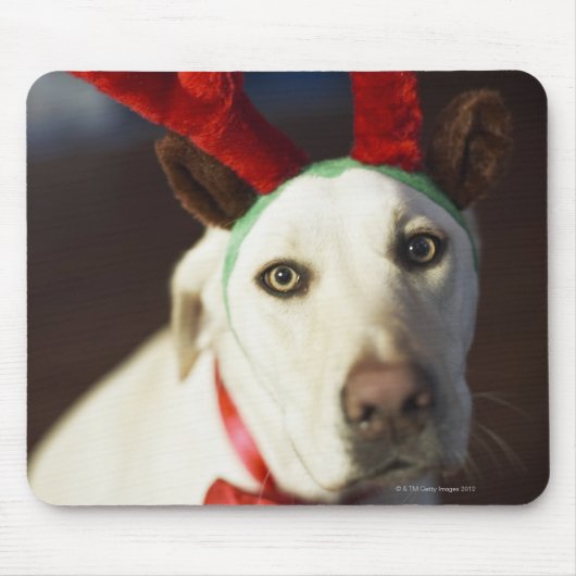 Hunde, die Rentiere tragen Mousepad (Vorne)
