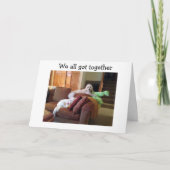 HUNDE, DIE SICH SCHÖNE KATZKATZEN FILM SAGEN GLÜCK KARTE (Vorderseite)