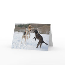 Hunde, die Spaß im Schnee Weihnachten haben