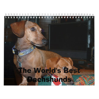 Hunde, die weg, die besten Dackeln der Welt Kalender