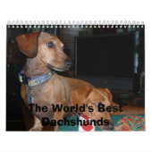 Hunde, die weg, die besten Dackeln der Welt Kalender (Titelbild)
