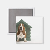 Hunde durch Hundehaus Magnet (Vorderseite/Rückseite)