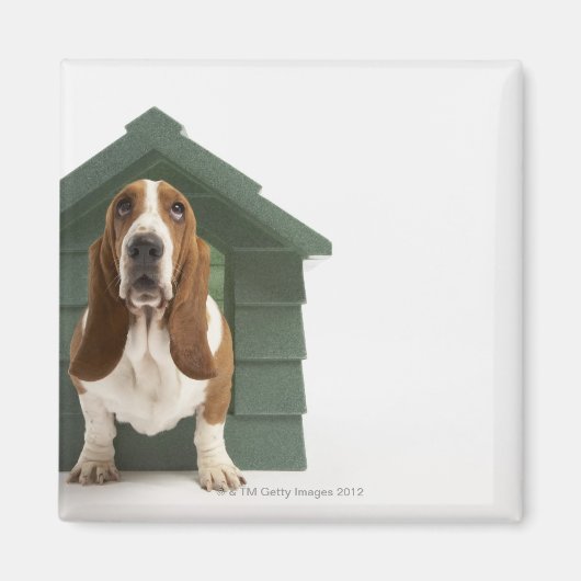 Hunde durch Hundehaus Magnet (Vorne)
