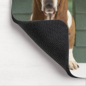 Hunde durch Hundehaus Mousepad (Ecke)