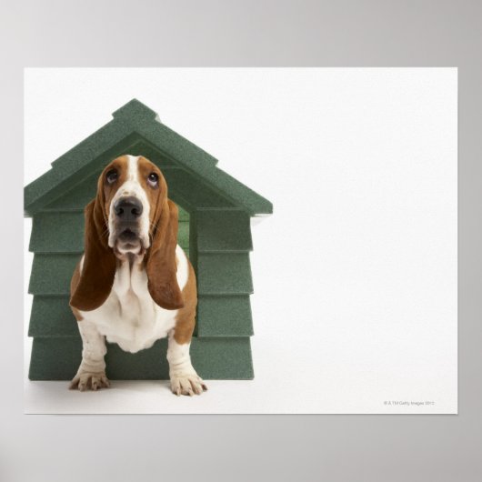 Hunde durch Hundehaus Poster (Vorne)