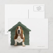 Hunde durch Hundehaus Postkarte (Vorne/Hinten)