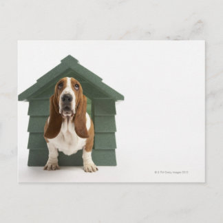 Hunde durch Hundehaus Postkarte