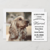 Hunde Ehrenretter Foto Hochzeit speichern das Datu Save The Date (Vorderseite)