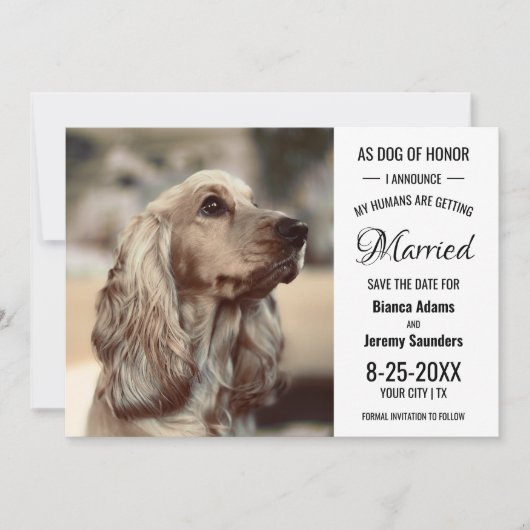 Hunde Ehrenretter Foto Hochzeit speichern das Datu Save The Date (Vorderseite)