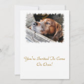 HUNDE EINLADUNG (Vorderseite)