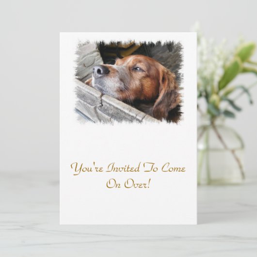 HUNDE EINLADUNG (Stehend Vorderseite)